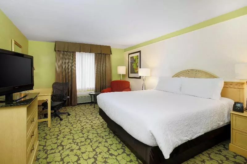 キングサイズベッドのスタンダードルーム, Hilton Garden Inn Tallahassee