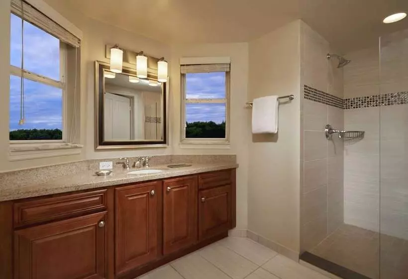 3 Bedroom Suite, Hilton Grand Vacations Club Seaworld® Orlando