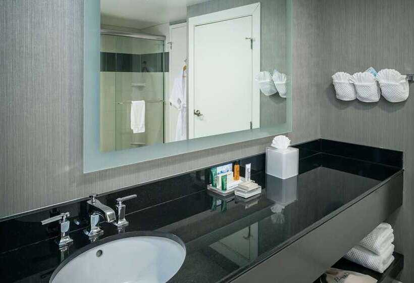 إستوديو قياسى سرير كينج, Hilton Grand Vacations Club Seaworld® Orlando