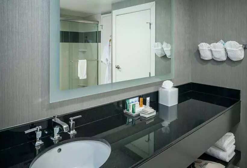 استودیو استاندارد با تخت کینگ, Hilton Grand Vacations Club Seaworld® Orlando
