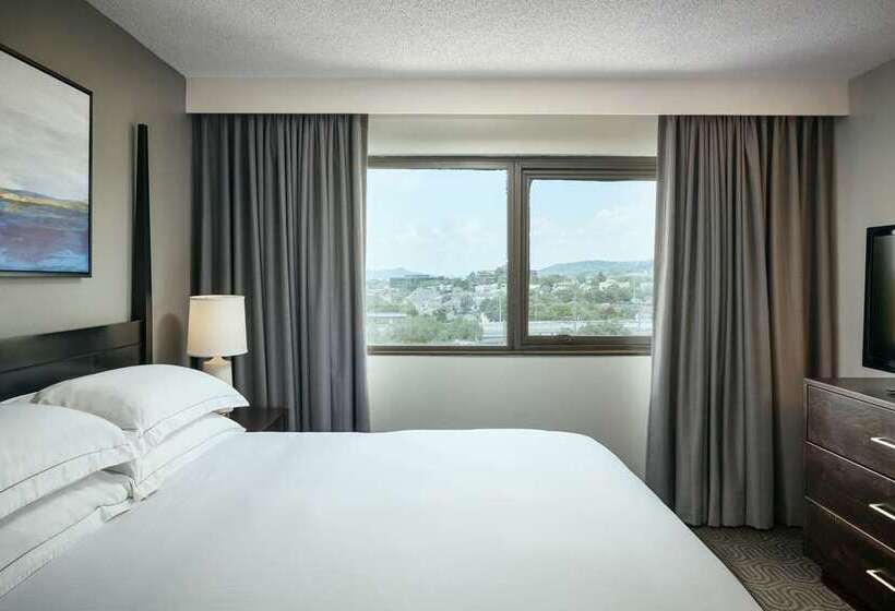 إستوديو قياسى سرير كينج, Hilton Grand Vacations Club Seaworld® Orlando