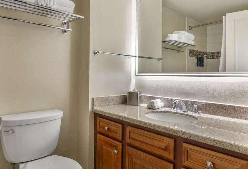 إستوديو قياسى سرير كينج, Hilton Grand Vacations Club Seaworld® Orlando