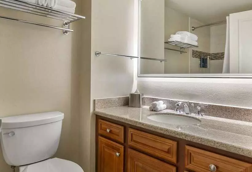 استودیو استاندارد با تخت کینگ, Hilton Grand Vacations Club Seaworld® Orlando