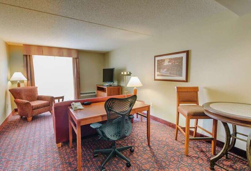 غرفة قياسية سرير كينج, Hilton Minneapolis