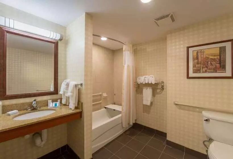 Standard-huone King-vuode, Hilton Minneapolis