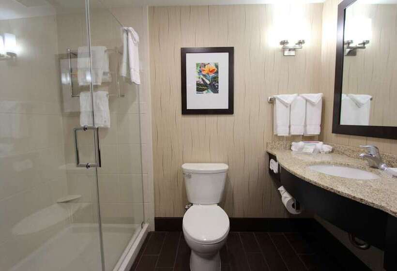 غرفة قياسية سرير كينج, Hilton Minneapolis