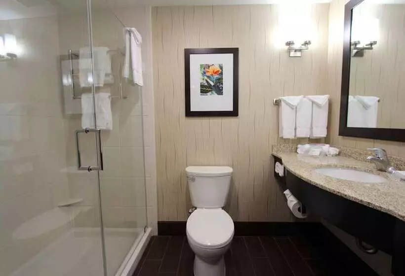 Standard-huone King-vuode, Hilton Minneapolis