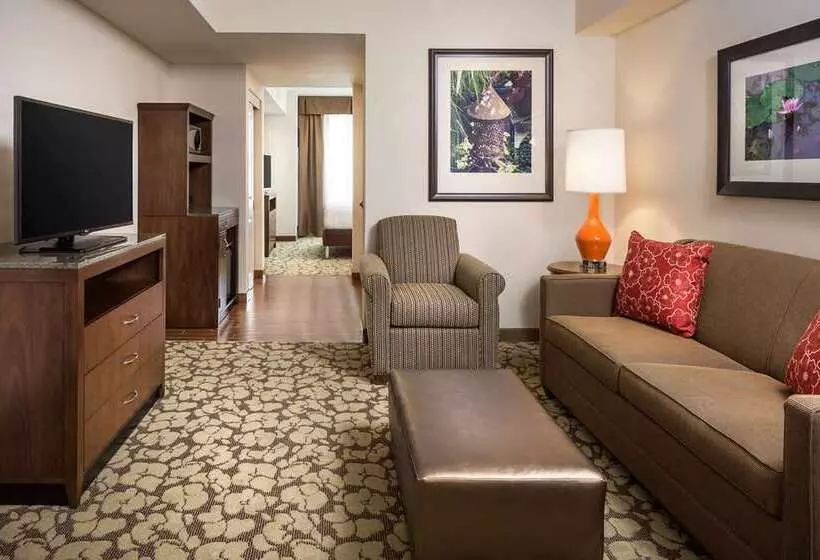 Standard-huone King-vuode, Hilton Minneapolis