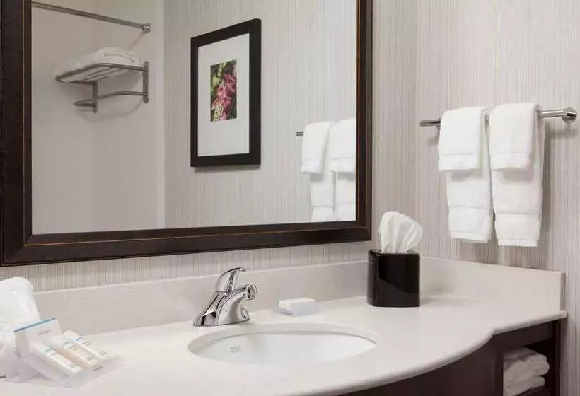 Standard-huone King-vuode, Hilton Minneapolis