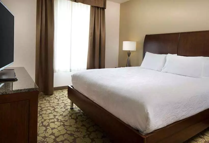 Standard-huone King-vuode, Hilton Minneapolis