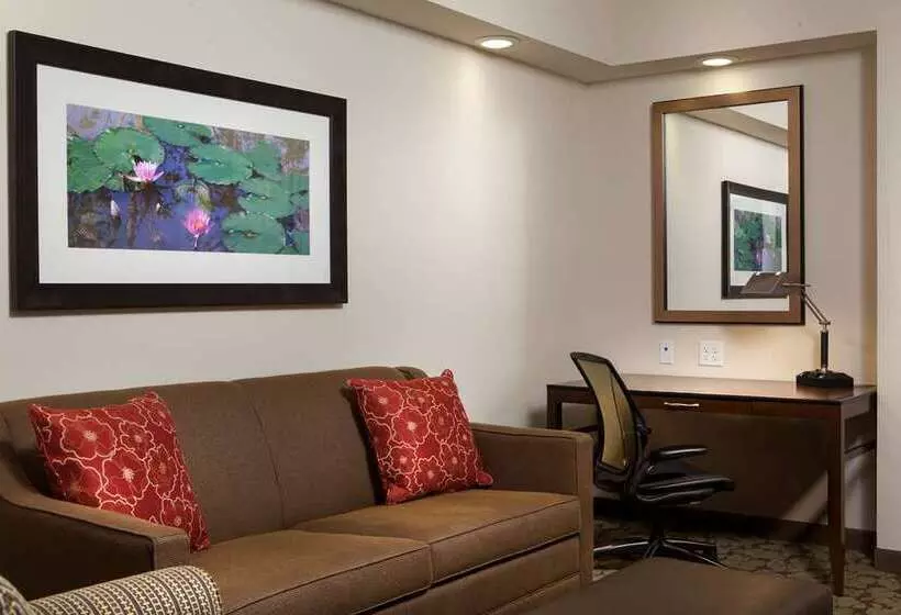 Standard-huone King-vuode, Hilton Minneapolis