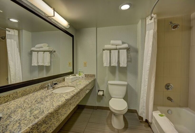 스탠다드 룸, Holiday Inn Express Hotel & Suites Ft. Lauderdale Plantation, An Ihg