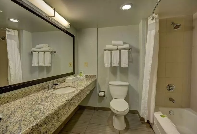 ２ダブルベッドのスタンダードルーム, Holiday Inn Express Hotel & Suites Ft. Lauderdale Plantation, An Ihg