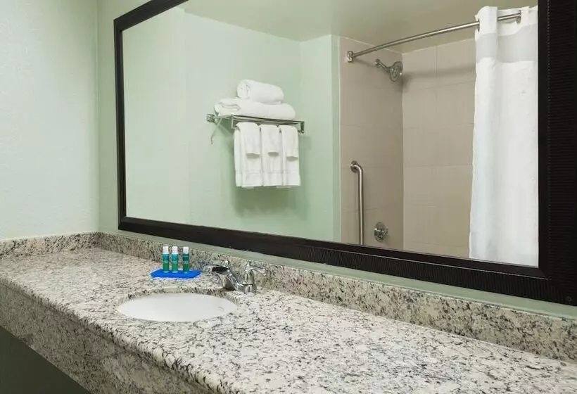 ２ダブルベッドのスタンダードルーム, Holiday Inn Express Hotel & Suites Ft. Lauderdale Plantation, An Ihg