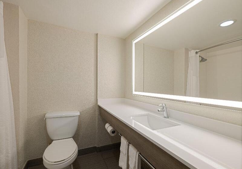 스탠다드 룸, Holiday Inn Express Hotel & Suites Ft. Lauderdale Plantation, An Ihg