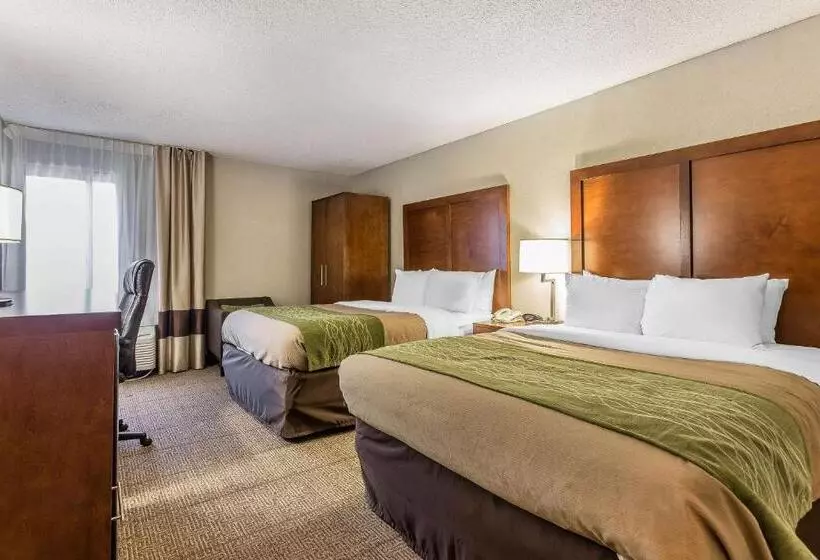スタンダードルーム, Quality Inn Summervillecharleston