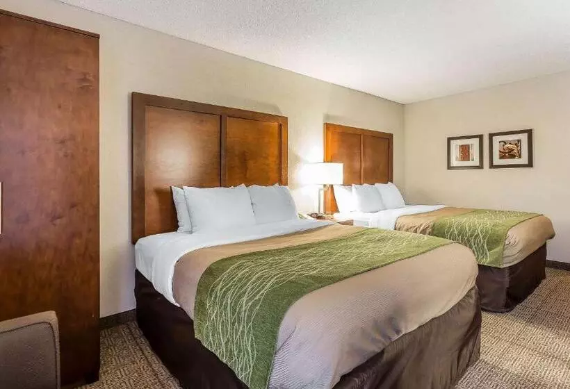 スタンダードルーム, Quality Inn Summervillecharleston