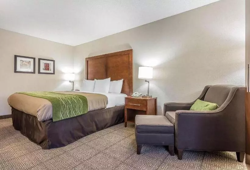 キングサイズベッドのスタンダードルーム, Quality Inn Summervillecharleston