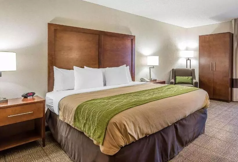 キングサイズベッドのスタンダードルーム, Quality Inn Summervillecharleston