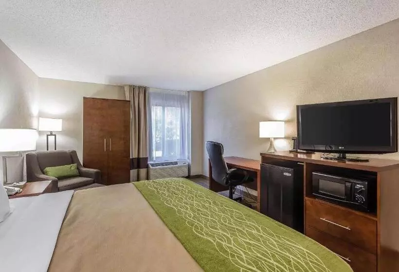 キングサイズベッドのスタンダードルーム, Quality Inn Summervillecharleston