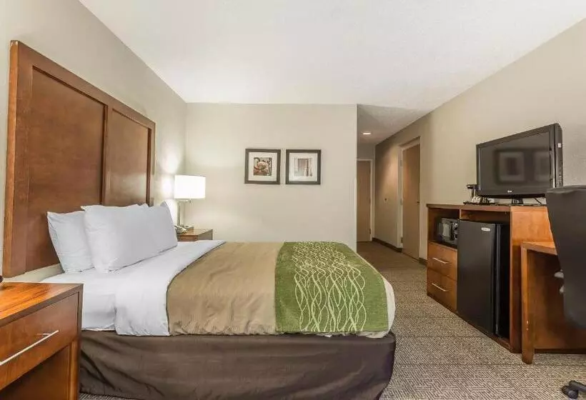 身障者適用スタンダードルーム, Quality Inn Summervillecharleston
