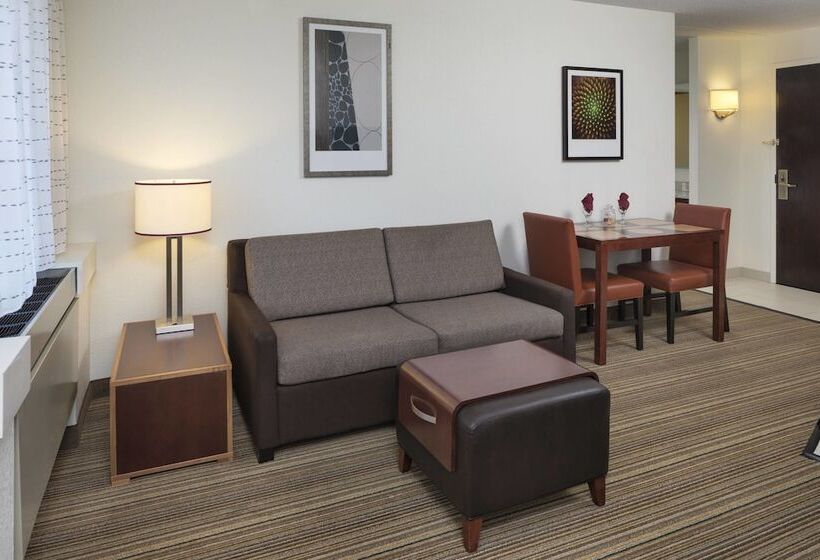 스위트, Residence Inn By Marriott Minneapolis Edina