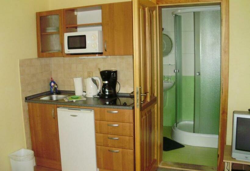 غرفة كلاسيكية, Penzion Sunski