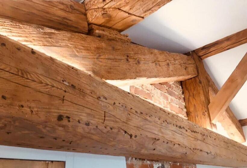 Трехместный Номер Deluxe, Aux Tourelles 1888   Tres Proche Lyon