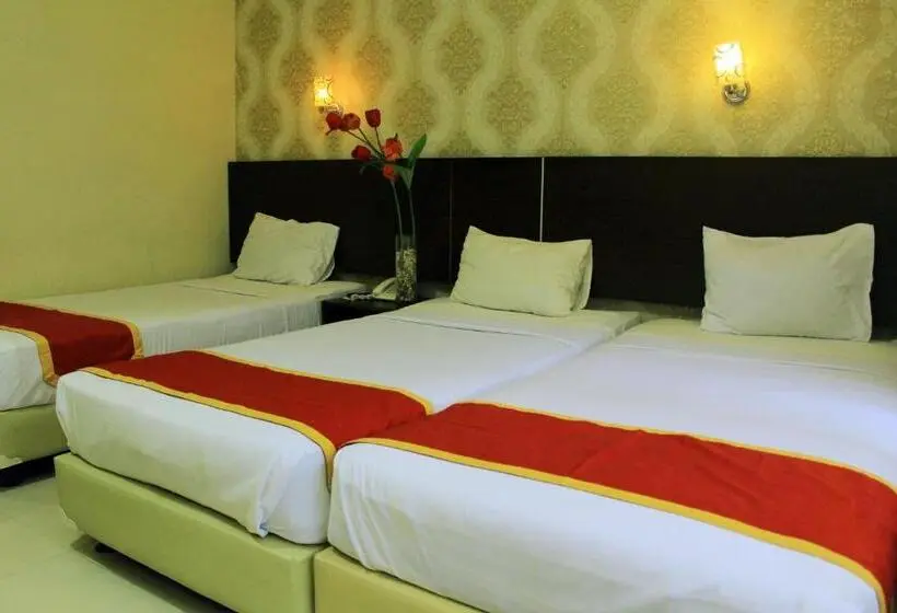 Quarto Triplo Economy, Gerbera