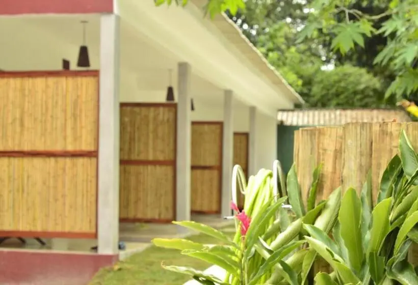 Standard Kolmen Hengen Huone, Moksha Surf Yoga