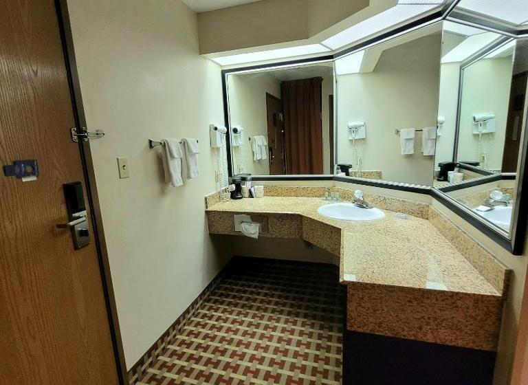 스탠다드 룸 킹사이즈 침대, Best Western Marion