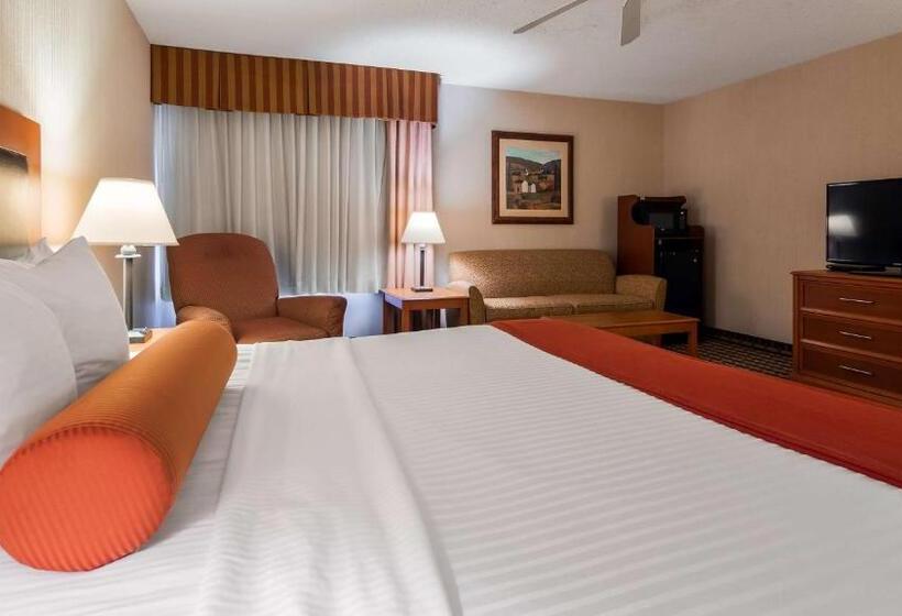 스탠다드 룸 킹사이즈 침대, Best Western Marion