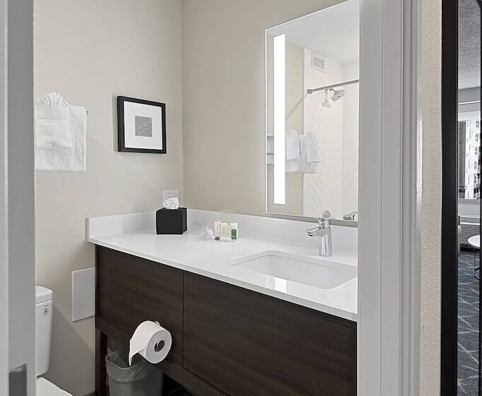 Standard Szoba, Holiday Inn Hotel & Suites Chicago   Downtown, An Ihg