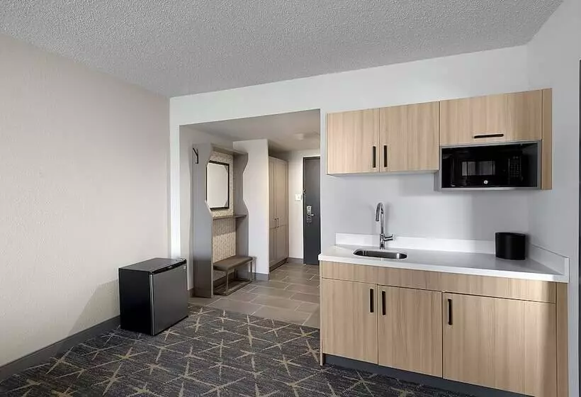 سوییت, Holiday Inn Hotel & Suites Chicago   Downtown, An Ihg