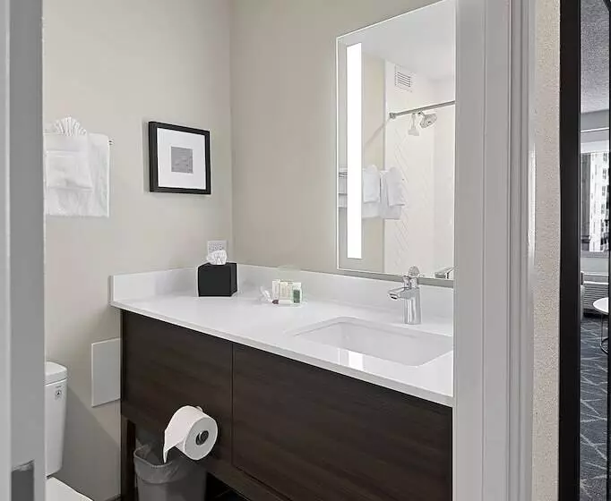 اتاق استاندارد با 2 تخت دوبل, Holiday Inn Hotel & Suites Chicago   Downtown, An Ihg