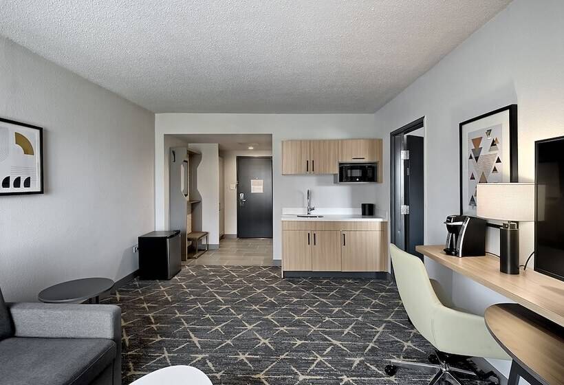 סוויטה מותאמת לאדם עם מוגבלויות, Holiday Inn Hotel & Suites Chicago   Downtown, An Ihg