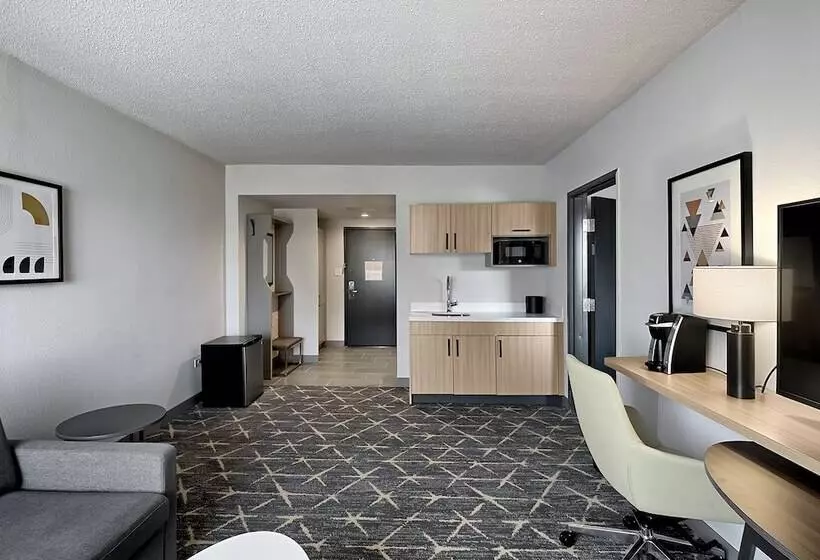 سوئیت برای معلولان, Holiday Inn Hotel & Suites Chicago   Downtown, An Ihg