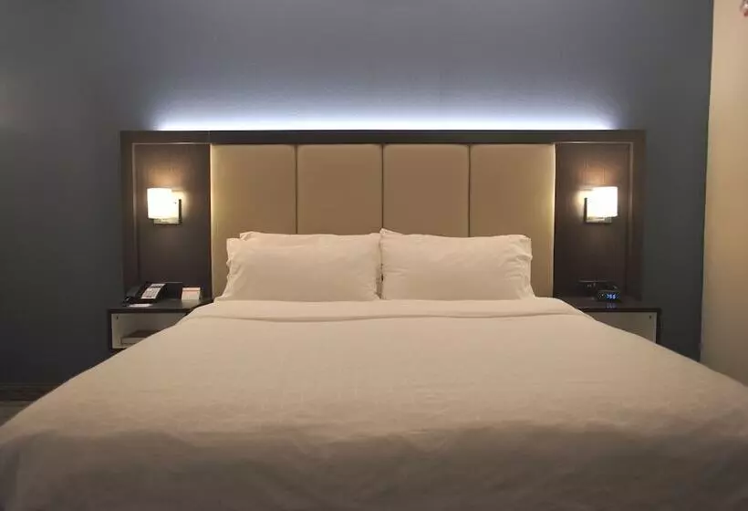 Standard-huone, Holiday Inn Express Anderson I 85 Exit 27 Highway 81, An Ihg
