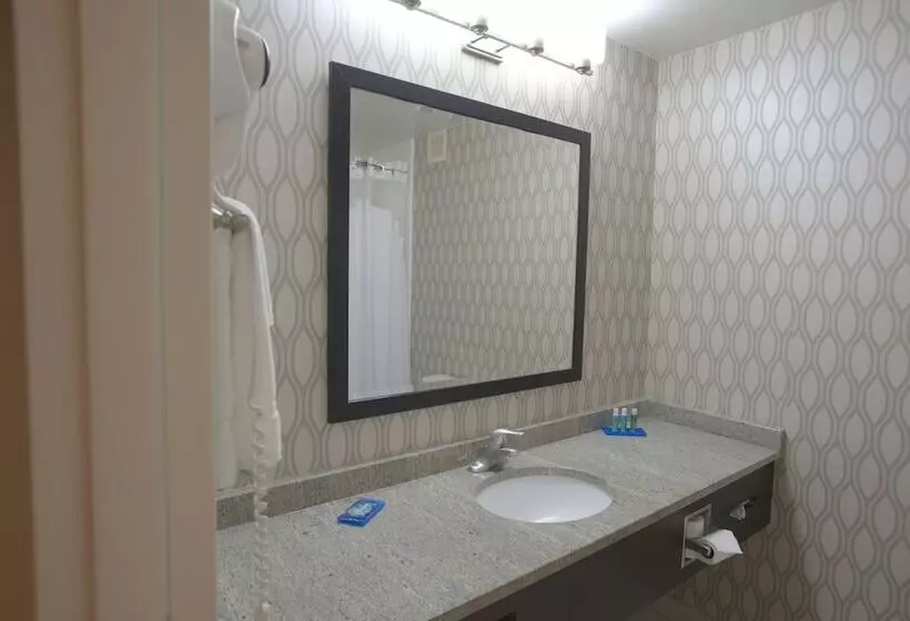 Standard-huone, Holiday Inn Express Anderson I 85 Exit 27 Highway 81, An Ihg