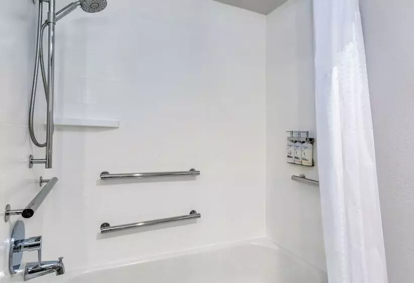 اتاق استاندارد با 2 تخت دوبل, Holiday Inn Express Hotel Clearwater East   Icot Center, An Ihg