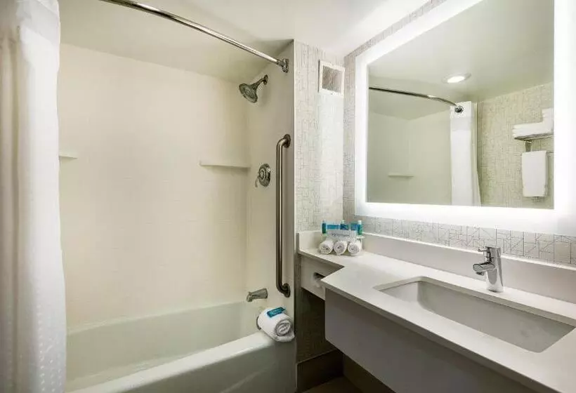 اتاق استاندارد با تخت بزرگ برای معلولان, Holiday Inn Express Flint Campus Area, An Ihg