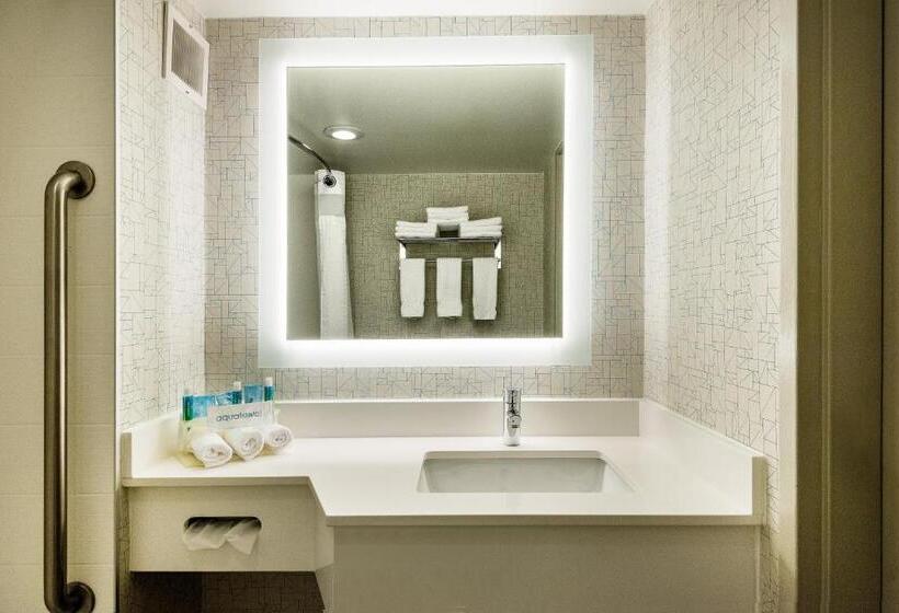 Номер Стандарт Кровать Кинг Адаптированный для Инвалидов, Holiday Inn Express Flint Campus Area, An Ihg
