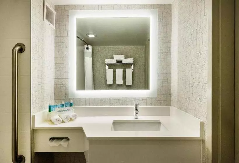 اتاق استاندارد با تخت بزرگ برای معلولان, Holiday Inn Express Flint Campus Area, An Ihg