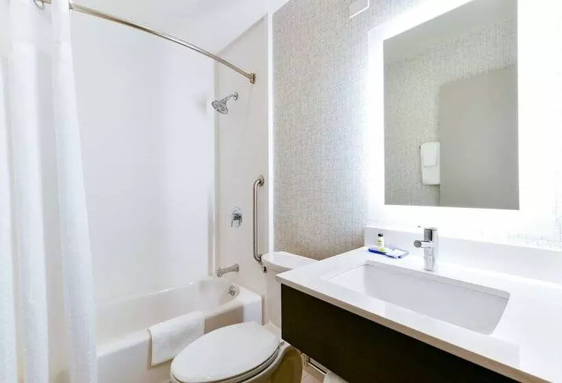 اتاق استاندارد با تخت دوبل, Holiday Inn Express Mill Valley San Francisco Area, An Ihg