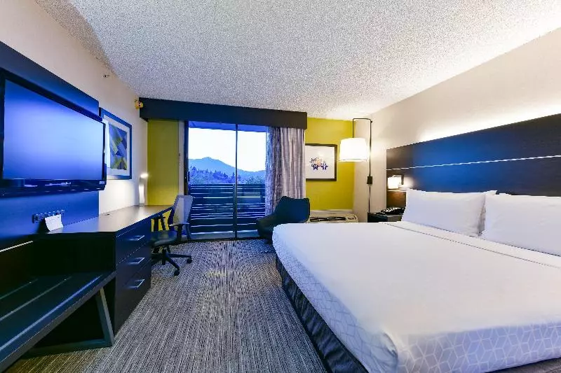اتاق استاندارد با تخت بزرگ, Holiday Inn Express Mill Valley San Francisco Area, An Ihg