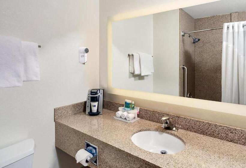 Стандартный Номер Кровать Кинг, Holiday Inn Express Sheboygan Kohler / I 43, An Ihg