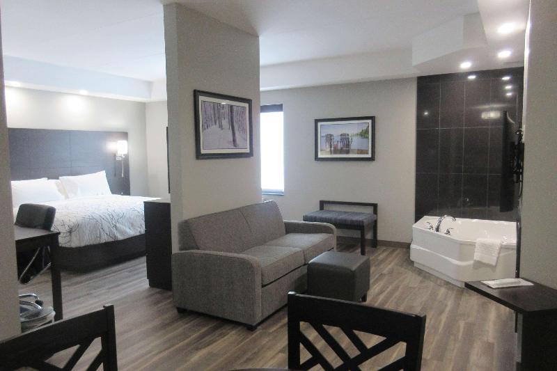 스탠다드 룸 킹사이즈 침대, Holiday Inn Express & Suites Springfield, An Ihg