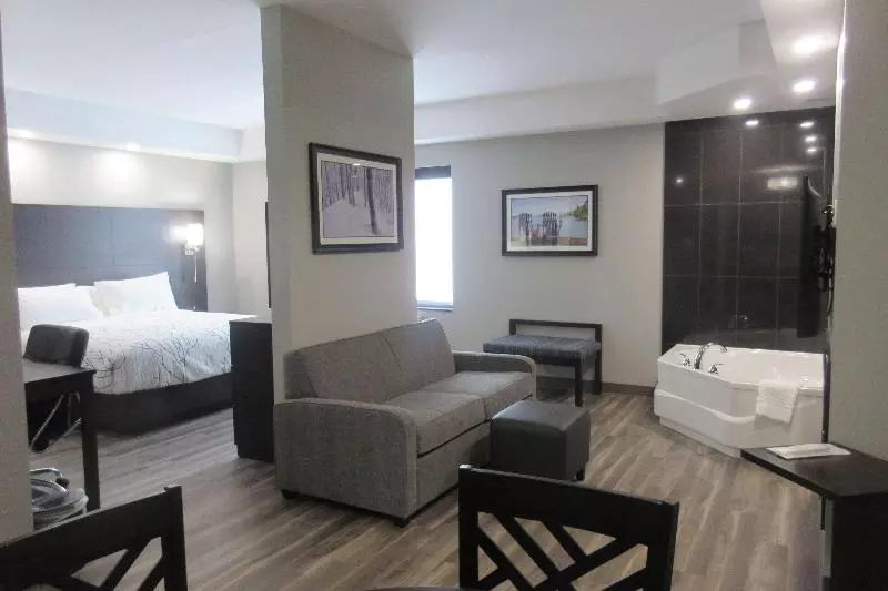 اتاق لوکس با تخت بزرگ, Holiday Inn Express & Suites Springfield, An Ihg