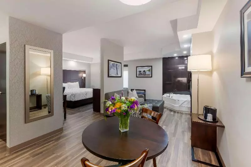 اتاق لوکس با تخت بزرگ, Holiday Inn Express & Suites Springfield, An Ihg