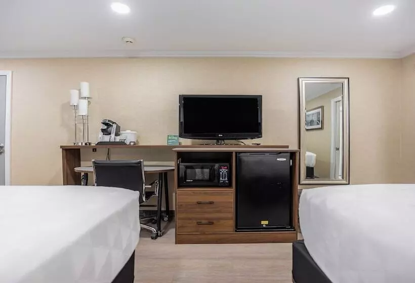 ２ダブルベッドのスタンダードルーム, Holiday Inn Plainview Long Island, An Ihg